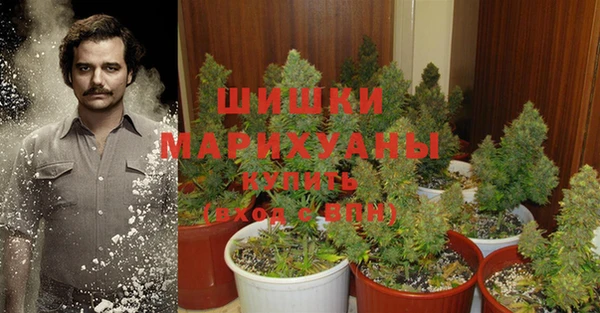 шишки Гусев