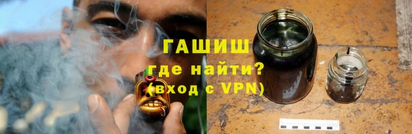 шишки Гусев