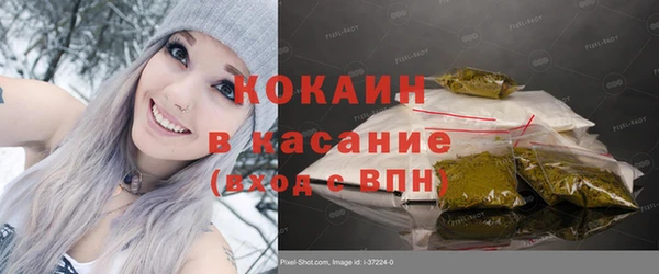 гидра Гусь-Хрустальный