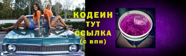 шишки Гусев