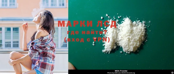 шишки Гусев