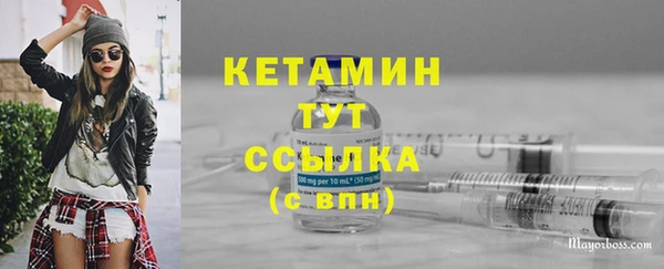 шишки Гусев