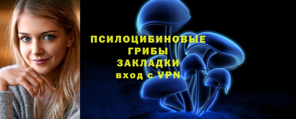 шишки Гусев