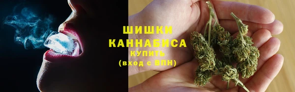 шишки Гусев