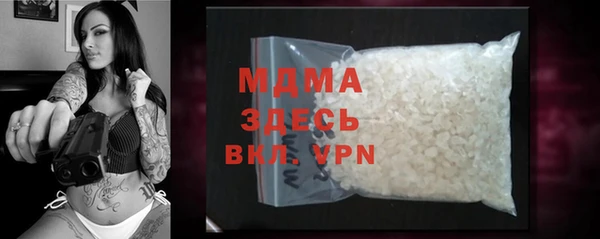шишки Гусев