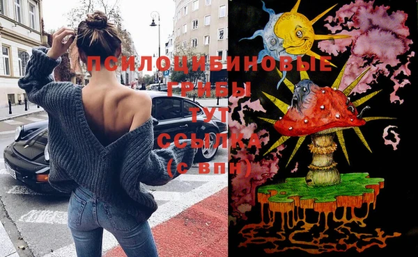 шишки Гусев