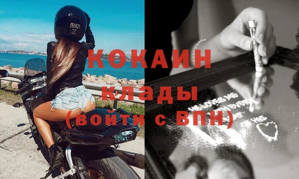 шишки Гусев