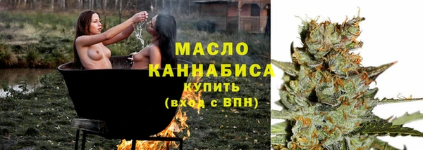 ешки Новодвинск