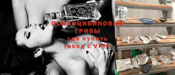 гидра Гусь-Хрустальный